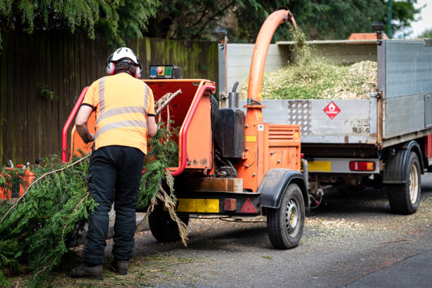 How Our Tree Care Process Works  in  Lockport Heights, LA